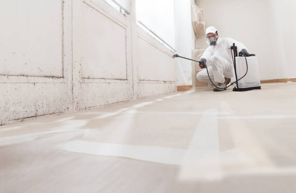 24/7 Emergency Mold Remediation experts in Pierce, CO